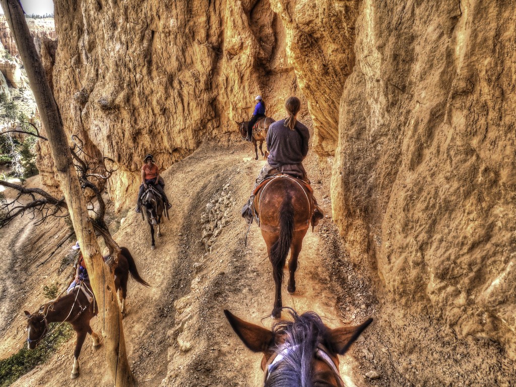 Horseback Riding in Bryce Canyon