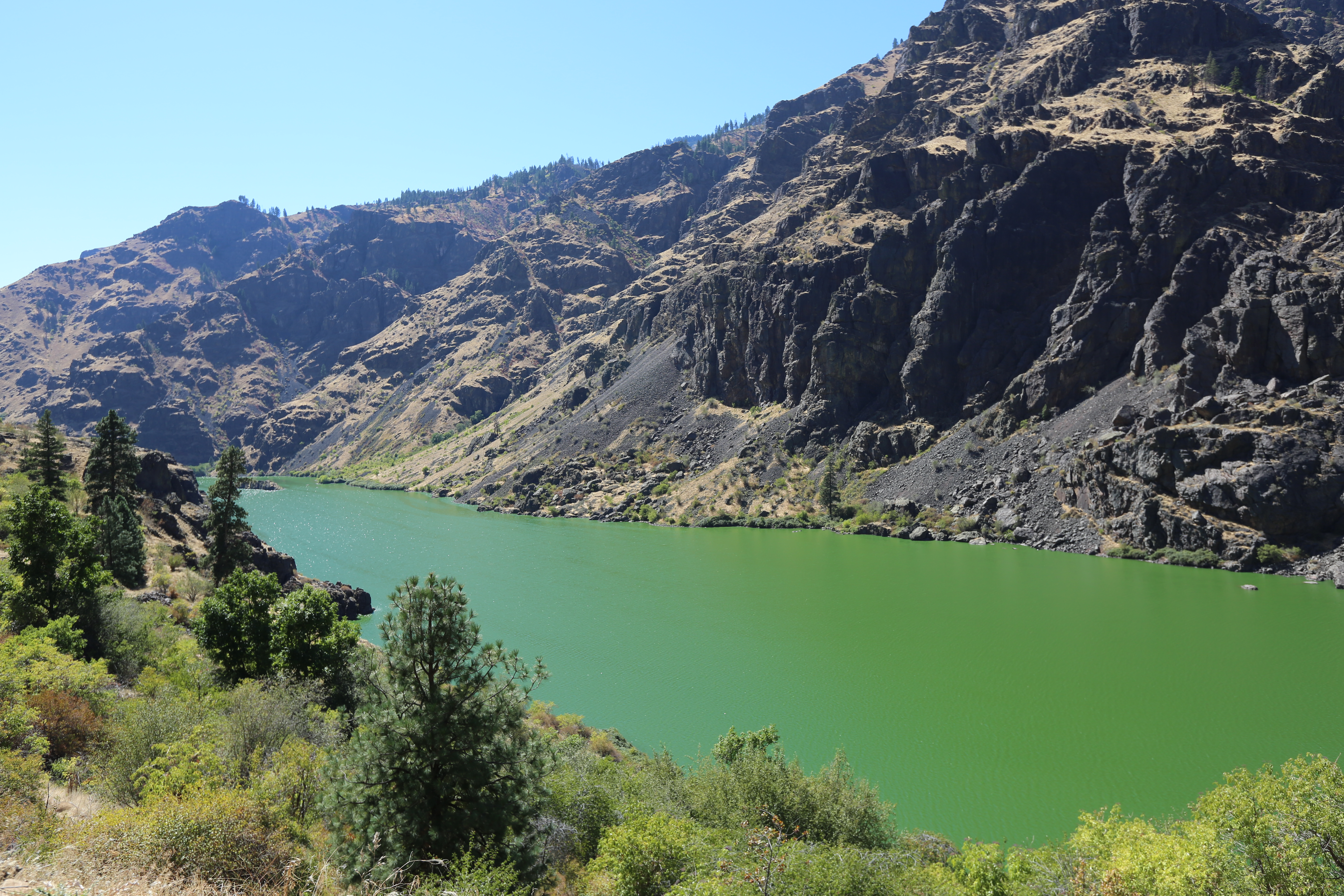 Looking upstream on the Snake River near the Hell's Canyon Dam