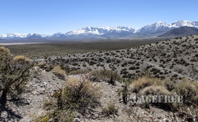 View from Craters edge back to the trail and the Eastern Sierra