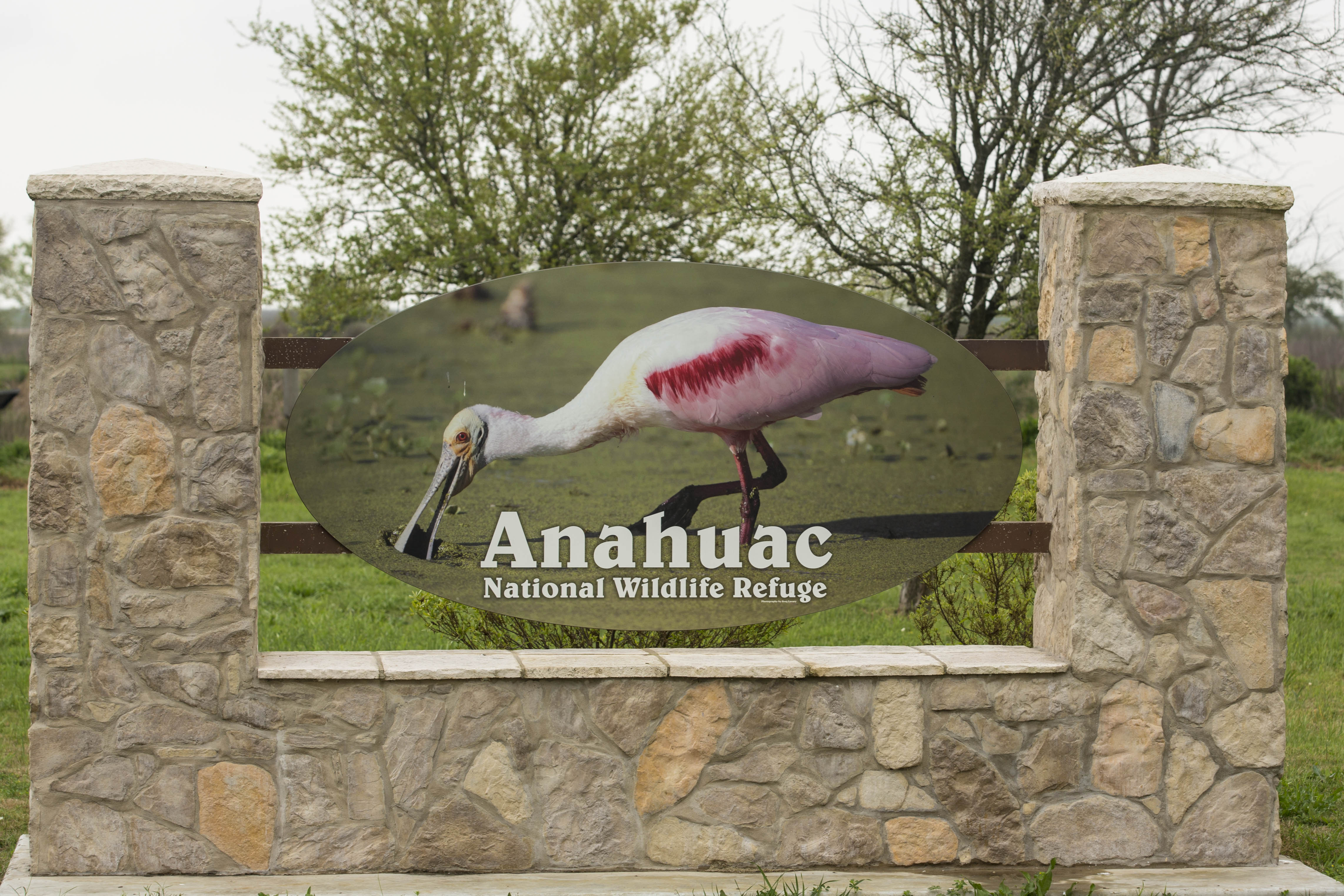 Read more about the article Anahuac Wildlife Preserve