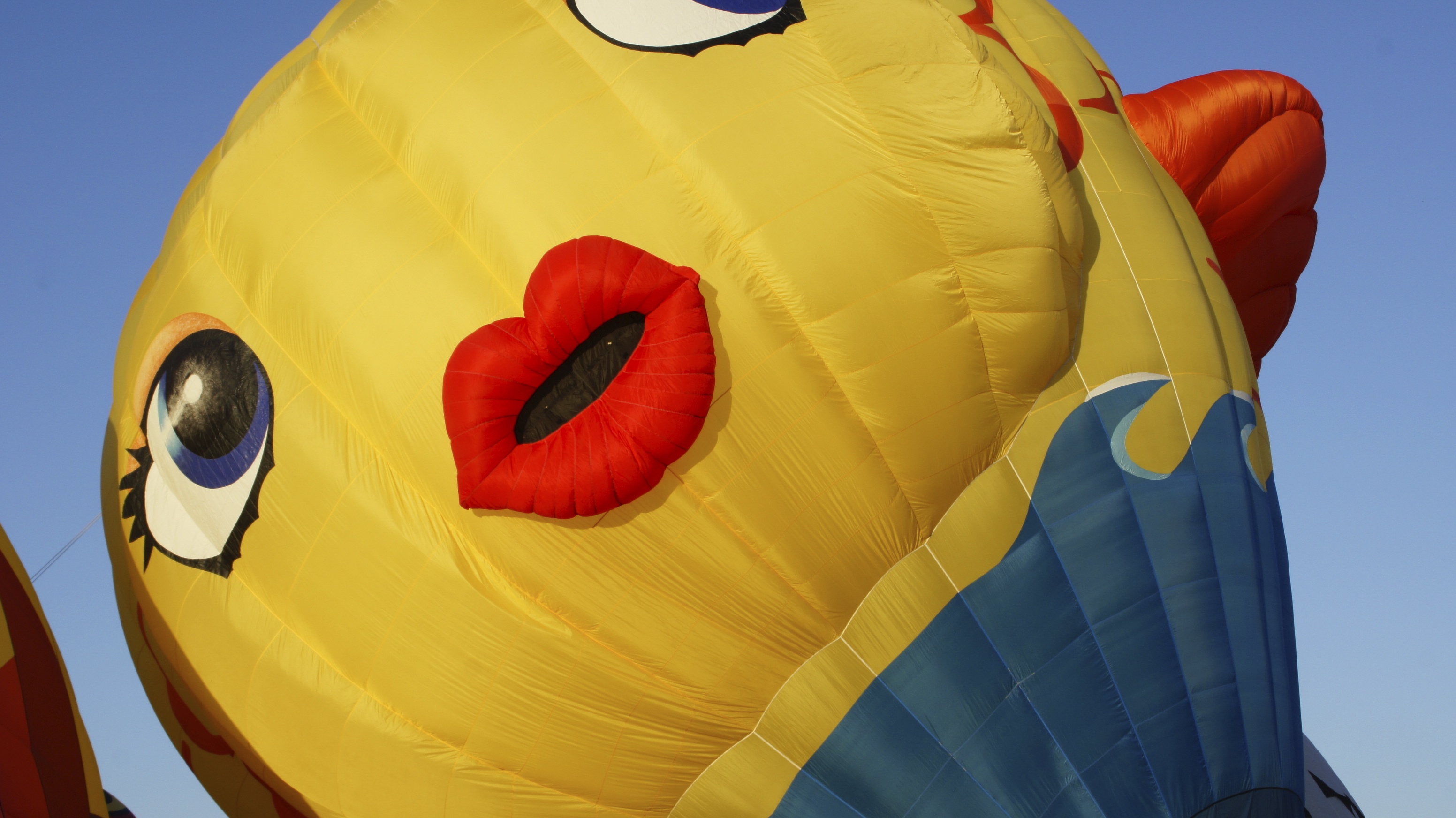 Read more about the article Albuquerque Balloon Fiesta