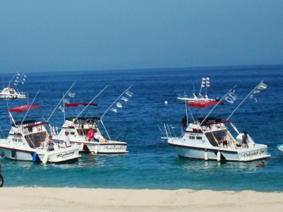 Verdugos Fishing Fleet