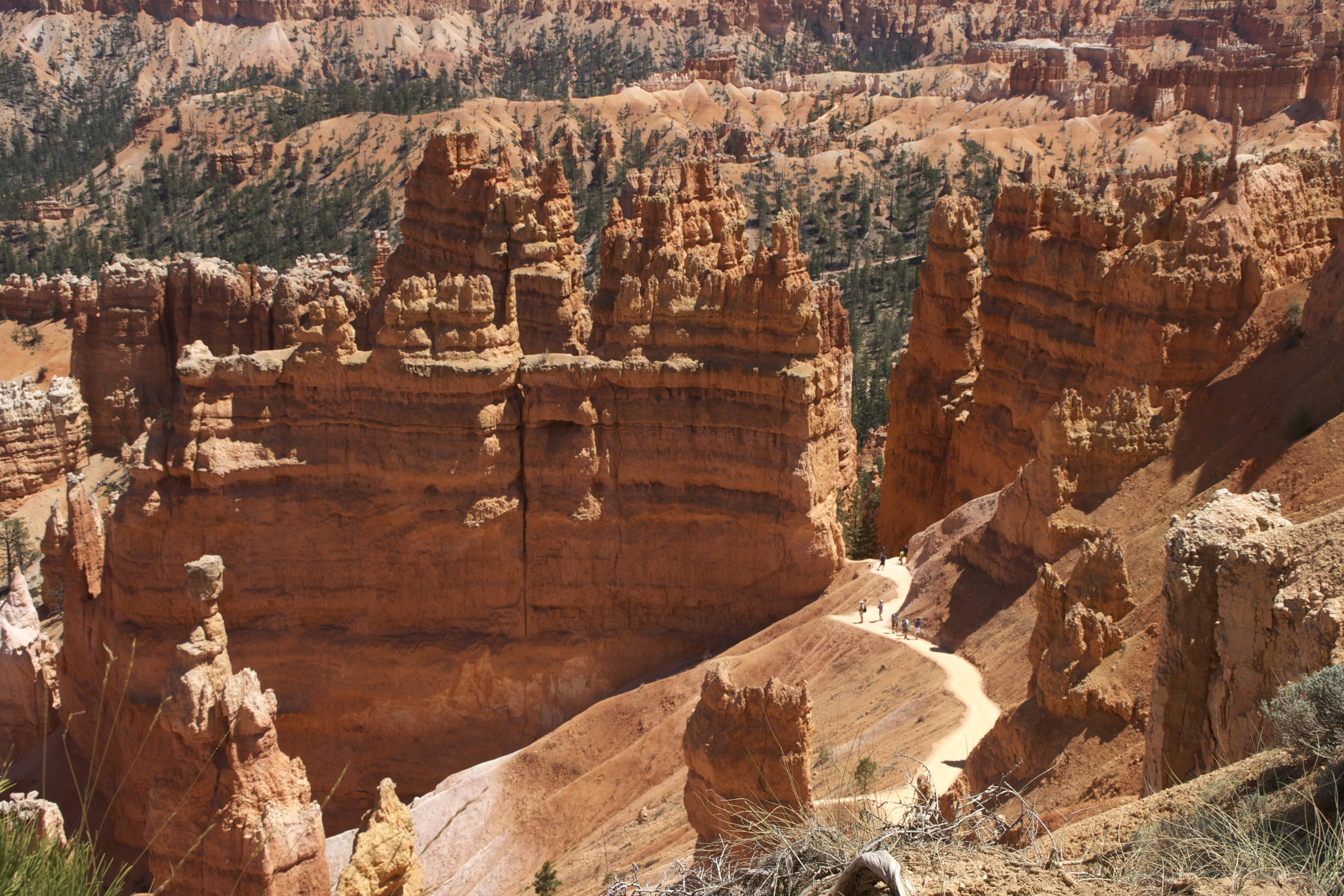 You are currently viewing BRYCE CANYON National Park