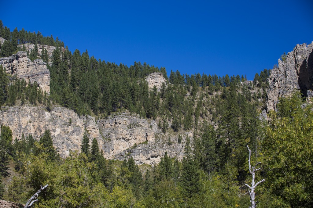 Spearfish Canyon from the Trail