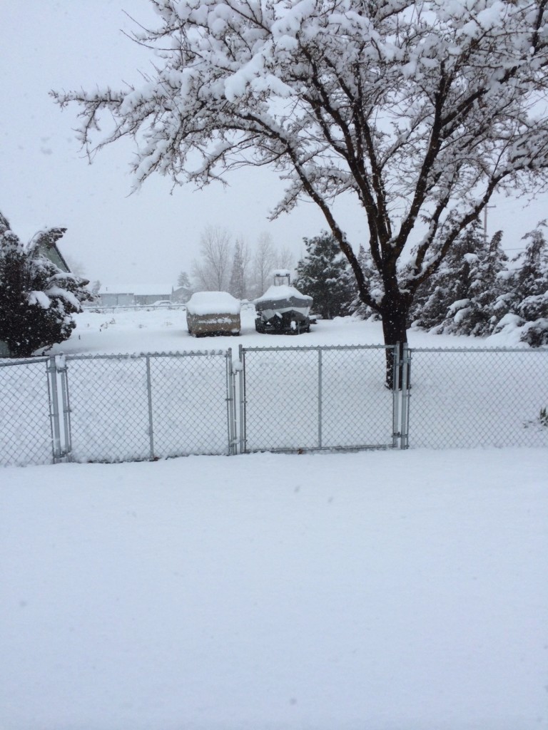 Snow in Carson