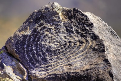 Petroglphs in Saguaro NP-2