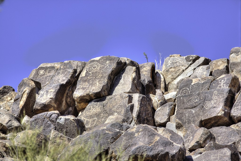 Petroglyphs on rock in Saguaro National Park