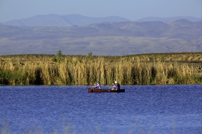 Read more about the article Roper Lake ~ A pleasant surprise in Safford Arizona