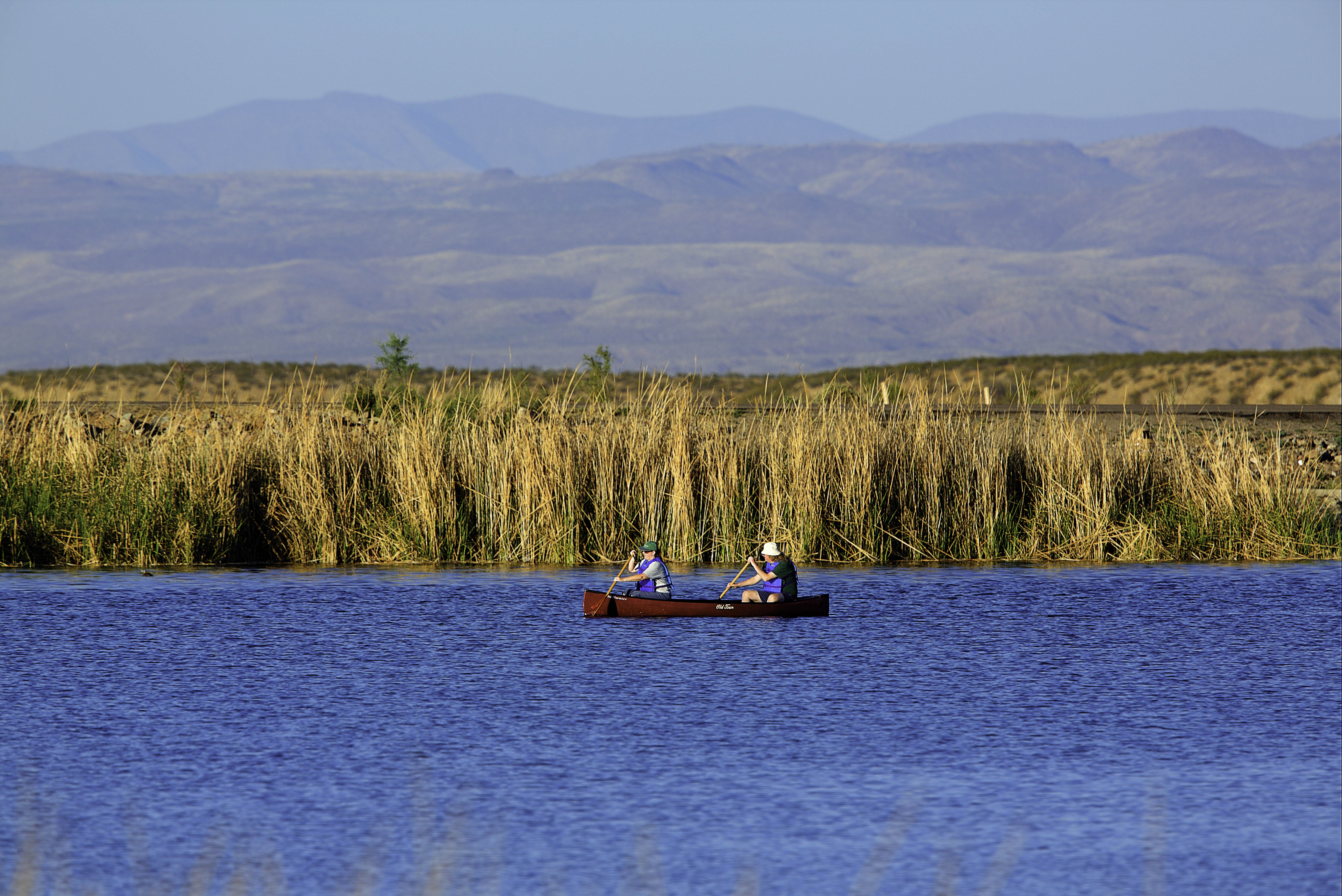 Read more about the article Roper Lake ~ A pleasant surprise in Safford Arizona
