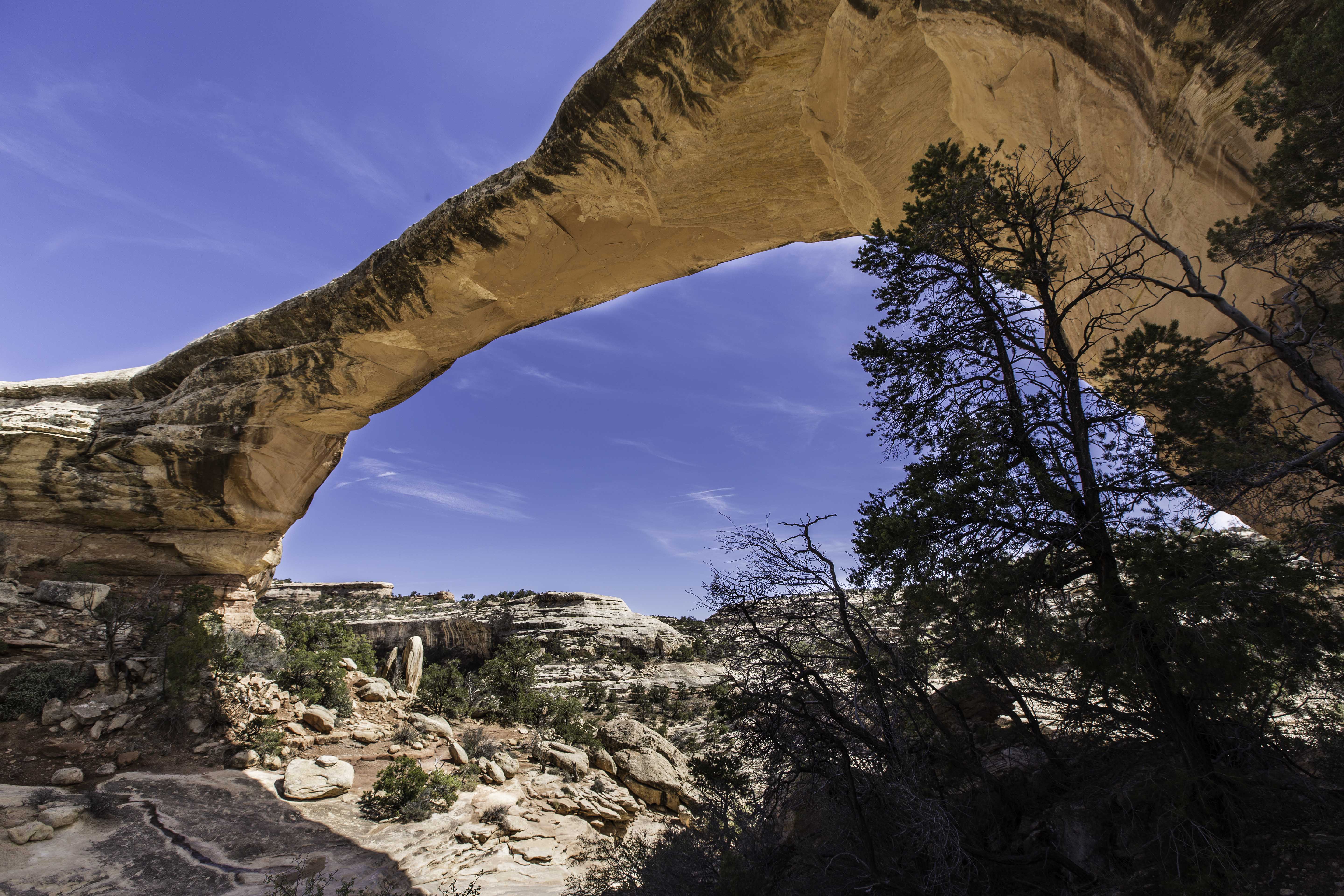 Read more about the article Natural Bridges National Monument