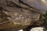 Petroglyphs along the Delicate Arch trail.