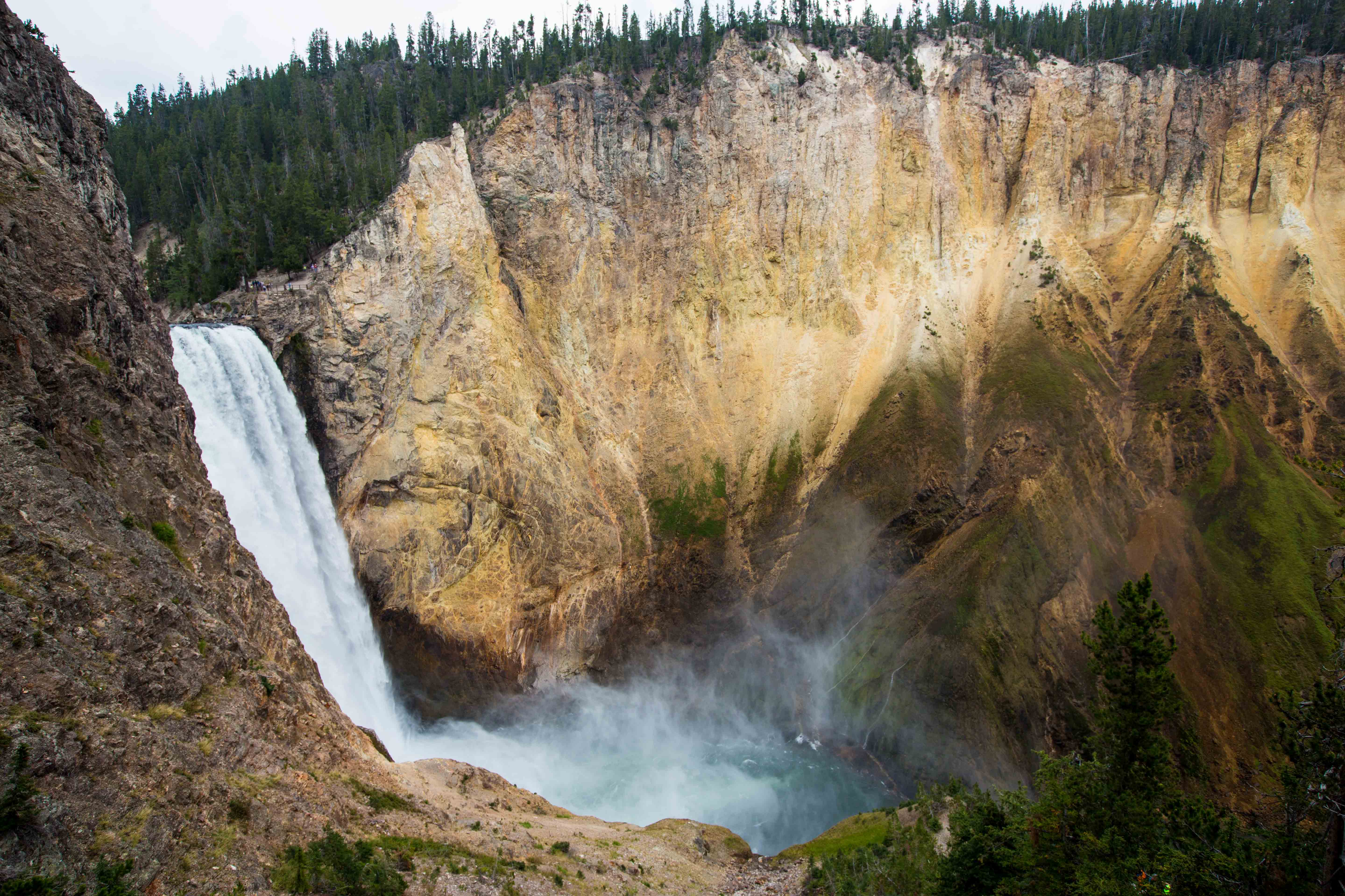 Read more about the article Grand Canyon of Yellowstone